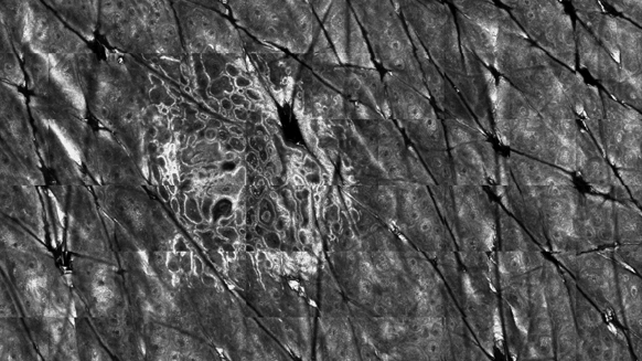 Diagnoptics - immagine