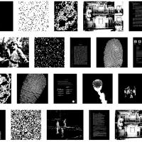 YACCLAD dataset preview