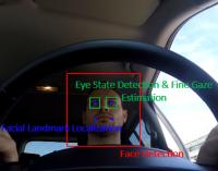 Mercury: a framework for Driver Monitoring and Human Car Interaction