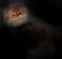 Visualization Techniques for Explainable AI