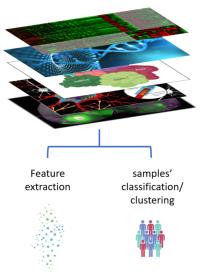 Advancing Medulloblastoma Research: Genomics and Proteomics Insights from Sample Analysis